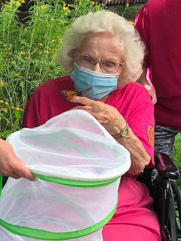 butterfly release Norine